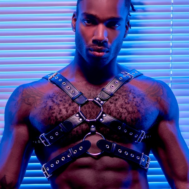 Gemini BDSM Harness - Male Power Fetish Wear