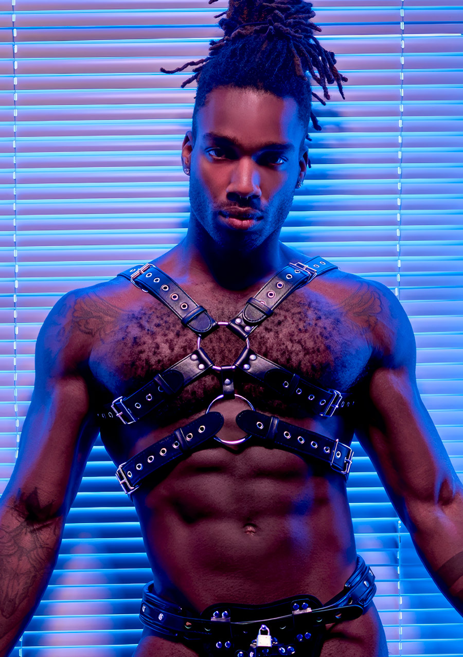 Male Power Sagittarius Men's Harness - Gay Fetish Wear