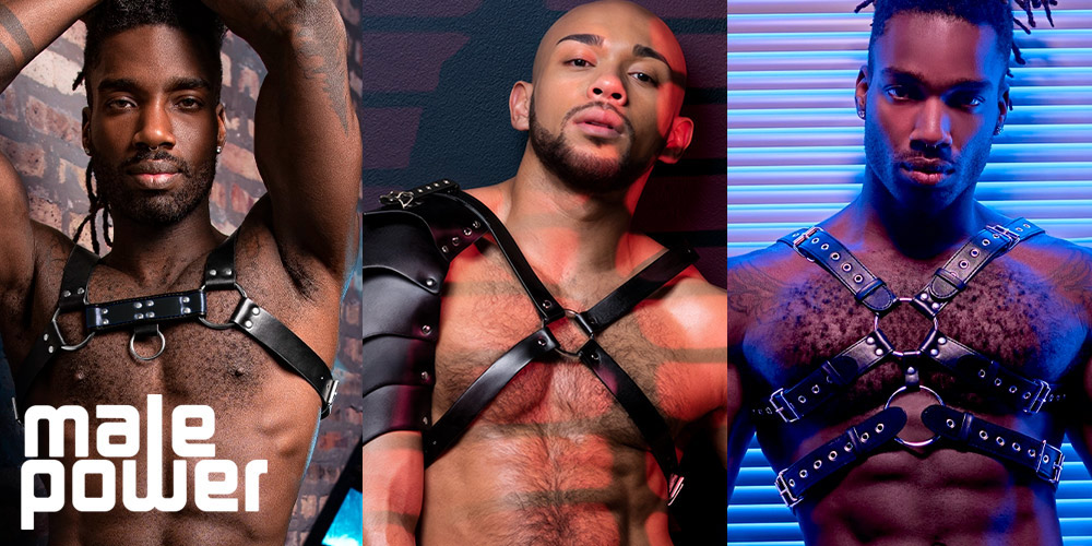 Male Power Leather Collection - BDSM Outfits and Gay Fetish Wear